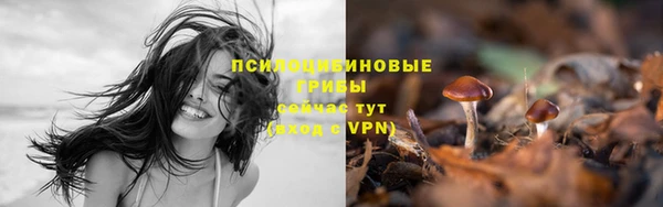 не бодяженный Богородицк