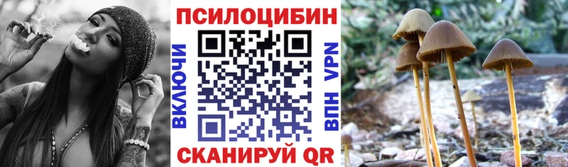 Псилоцибиновые грибы Psilocybe  гидра маркетплейс  Болгар 